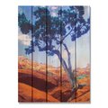 Ricki&Aposs Rugs 28 x 36 in. Desert Tree Inside & Outside Cedar Wall Art RI890042